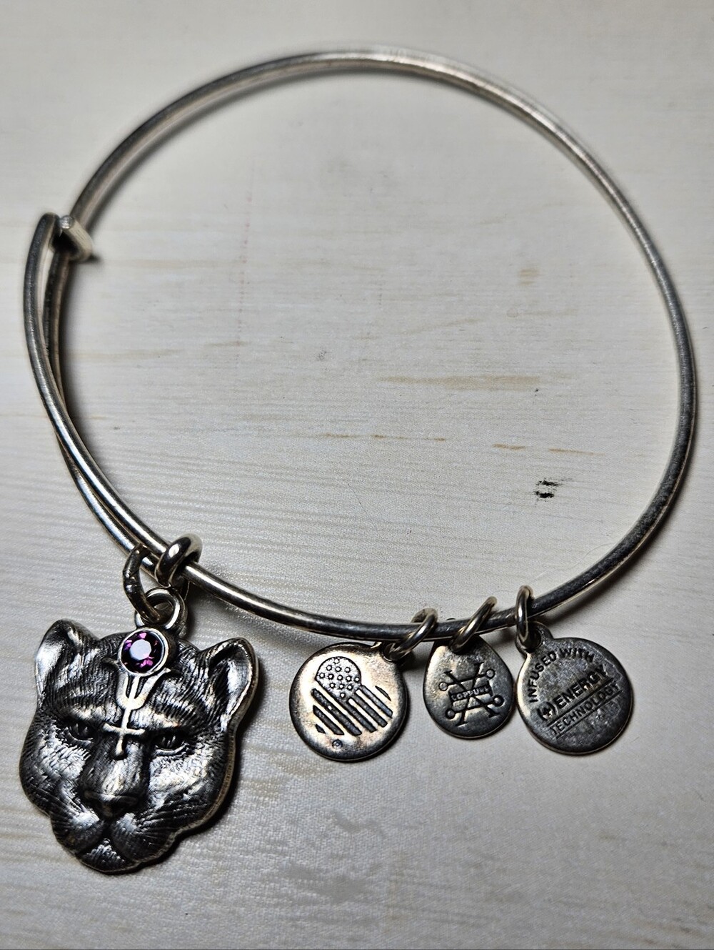Alex and Ani Wild Heart Panther Charm Bangle Bracelet Silver